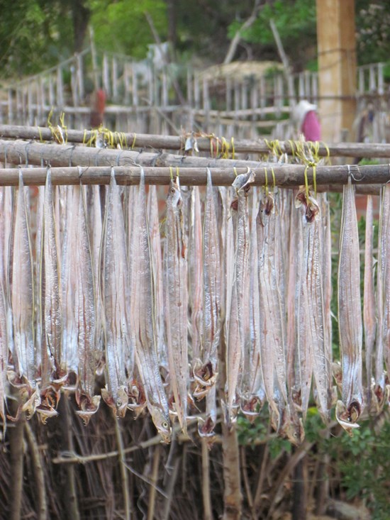 Về thăm l&agrave;ng ch&agrave;i Thanh Nam ở Hội An